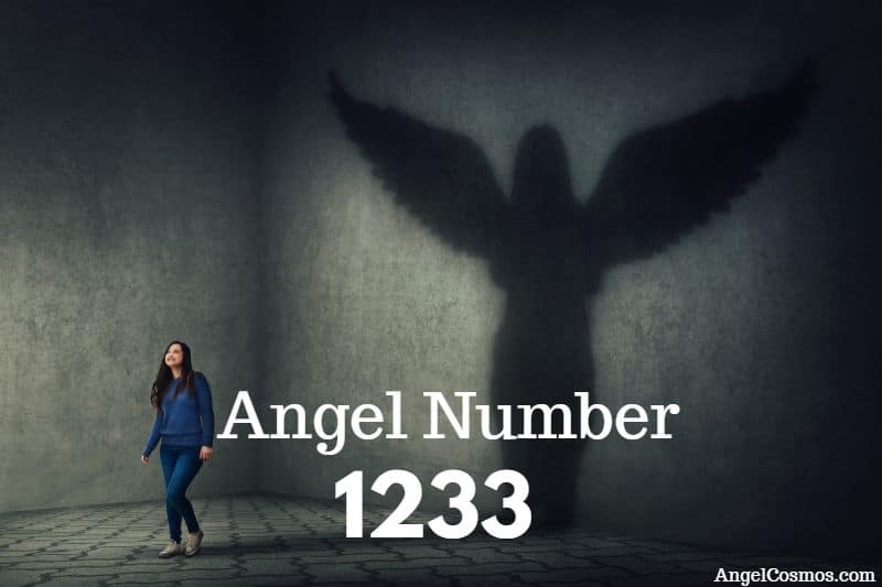 angel-number-1233