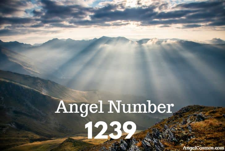 angel-number-1239