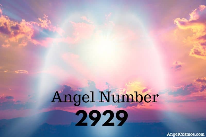 angel-number-2929