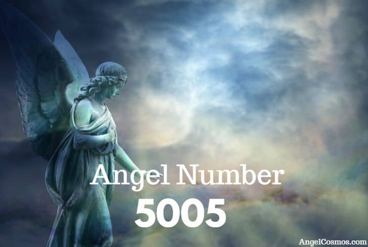angel-number-5005