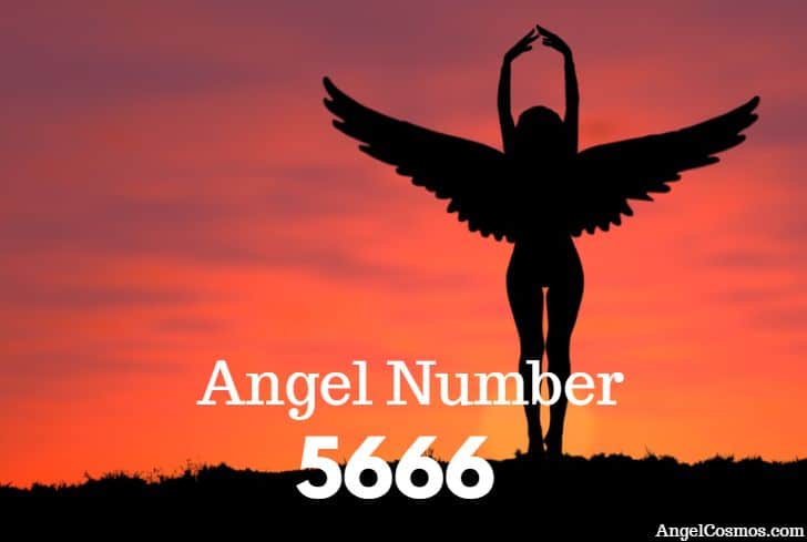 angel-number-5666