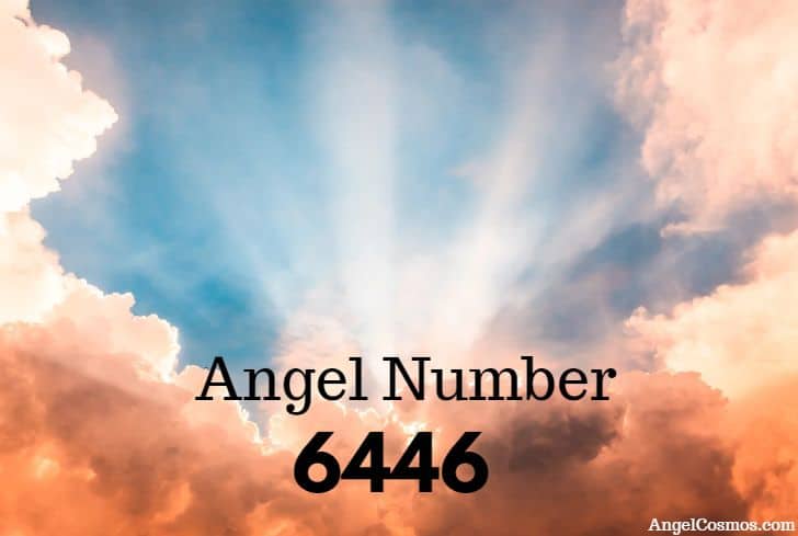 angel-number-6446