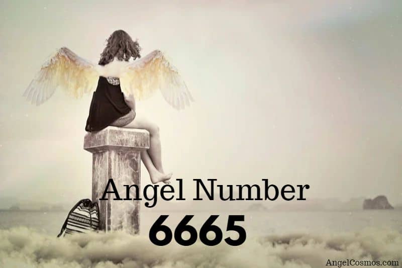 angel-number-6665