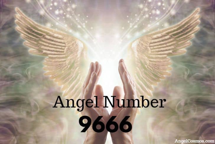 angel-number-9666