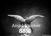 Angel Number 8818: Unlocking Its Powerful Message