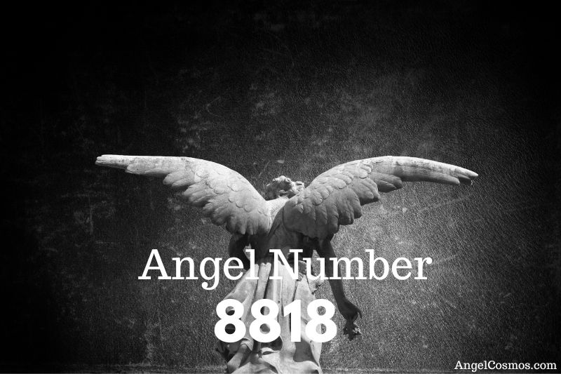 Angel Number 8818