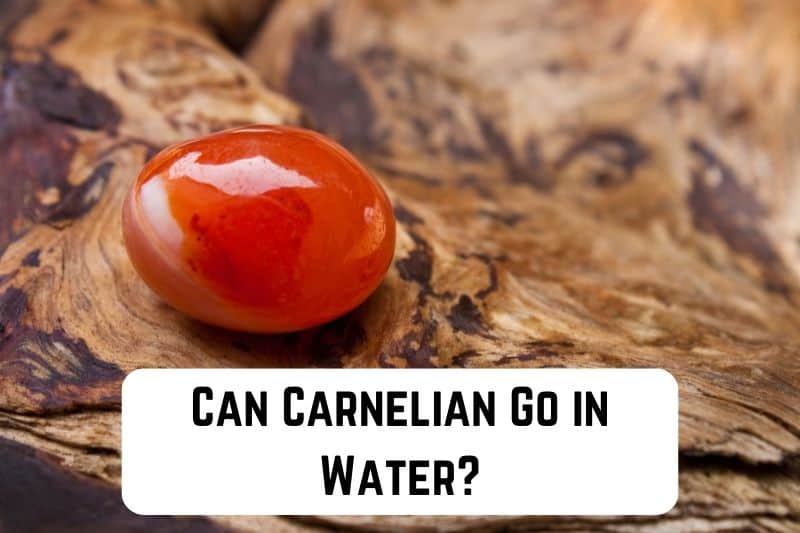 can-carnelian-go-in-water