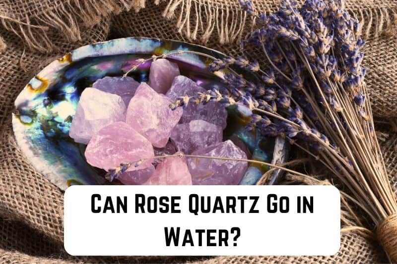 can-rose-quartz-go-in-water