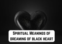 11 Spiritual Meanings of Black Heart (Intense Passion)