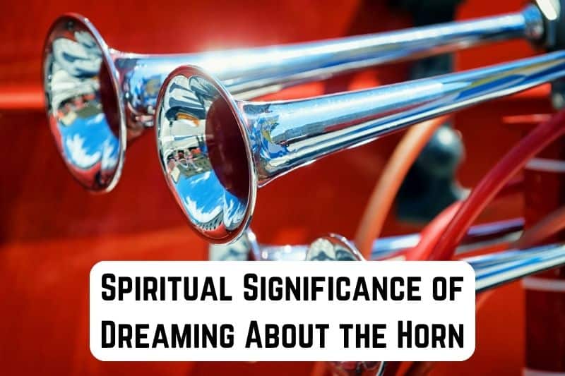 dreaming-about-horn