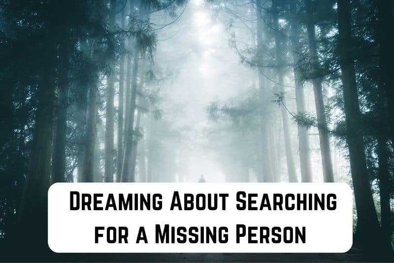 searching-for-missing-person