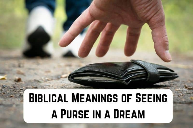 seeing-purse-in-dream